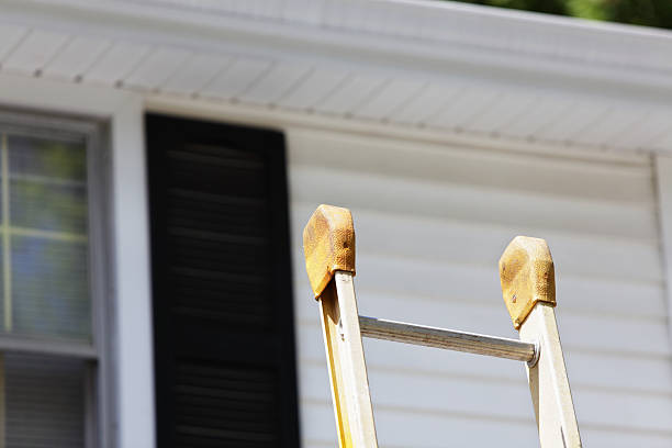 Best Vinyl Siding Installation  in Florence Graham, CA