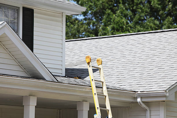 Best Custom Trim and Detailing for Siding  in Florence Graham, CA